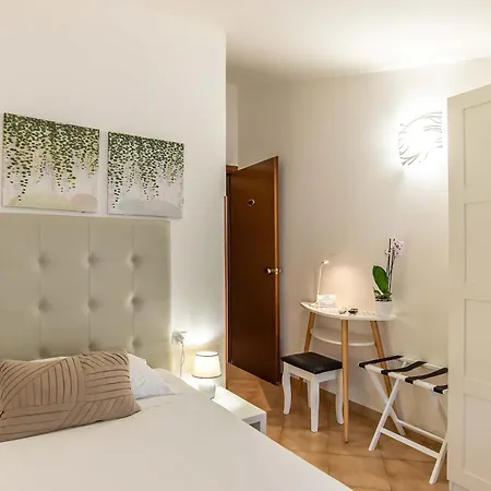 Plaza Guest house