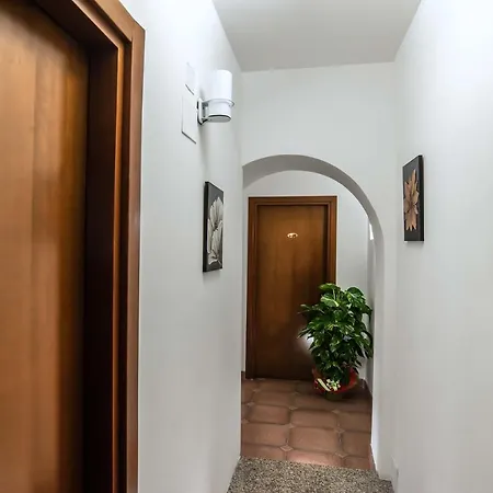 Guest house Plaza Ciampino